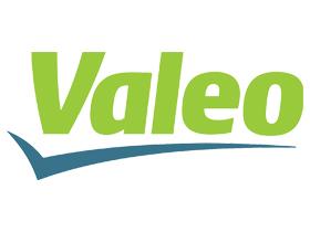 FAMILIA VALEO SUBFAMILIA .  VALEO